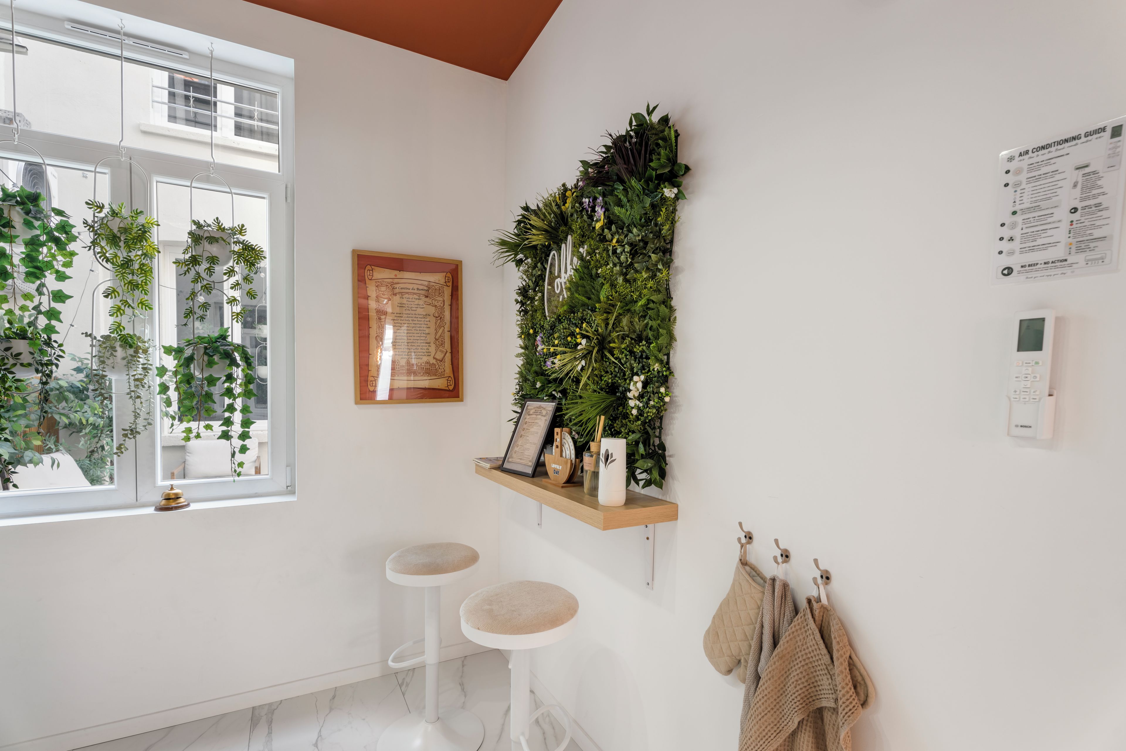 Une pièce avec une fenêtre, une plante fixée au mur, un tableau encadré, une étagère avec des objets et un thermostat.