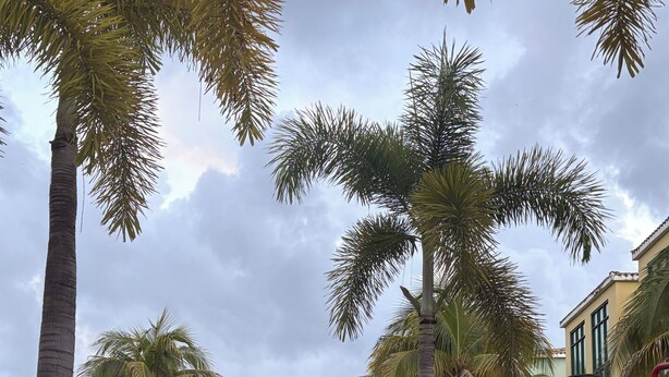 A swimming pool surrounded by palm trees and buildings. - Recently Renovated Marvelous 3-bedroom condo with AC in charming Aquatika, Loiza (Loiza)