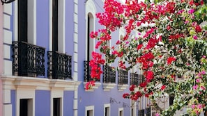 A building with balconies, a window, and a tree with pink flowers. - Recently Renovated Marvelous 3-bedroom condo with AC in charming Aquatika, Loiza (Loiza)