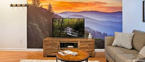 TV