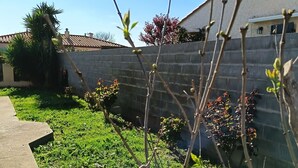 Ein Wohngebiet mit einem Betonweg, einer Steinmauer und einer Grünfläche mit knospenden Pflanzen.