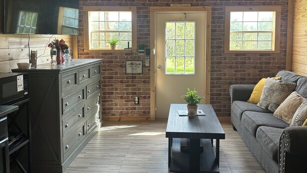 Une pièce chaleureuse avec un plafond en bois, des murs en briques, un coin cuisine équipé d’un four à micro-ondes, un canapé gris et une petite table.
