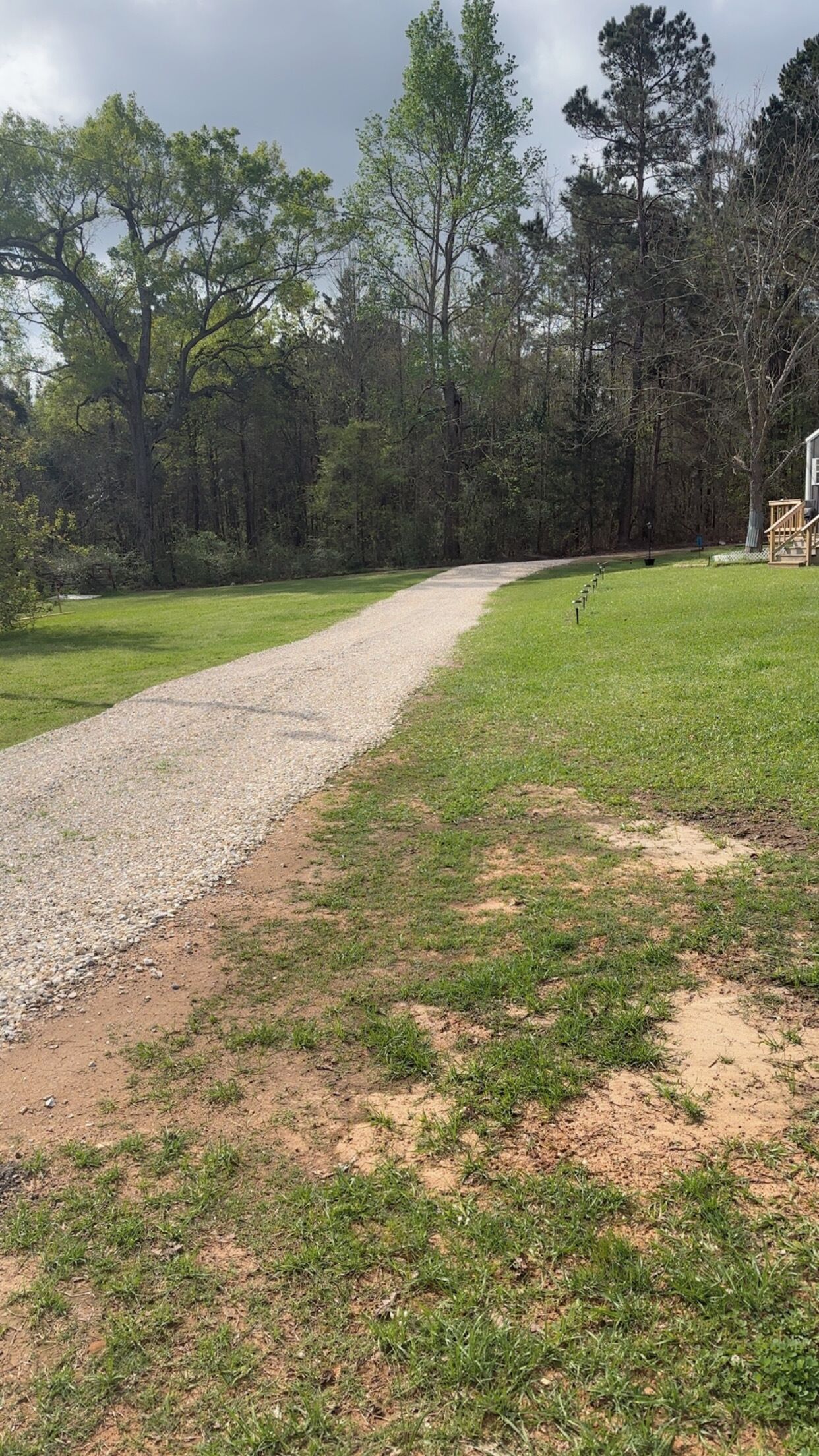 A gravel path leading through a grassy area with trees on both sides.