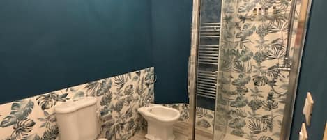 Shower, hair dryer, bidet, towels