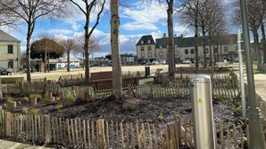 Un parc avec des bancs, des arbres et un bâtiment en arrière-plan.
