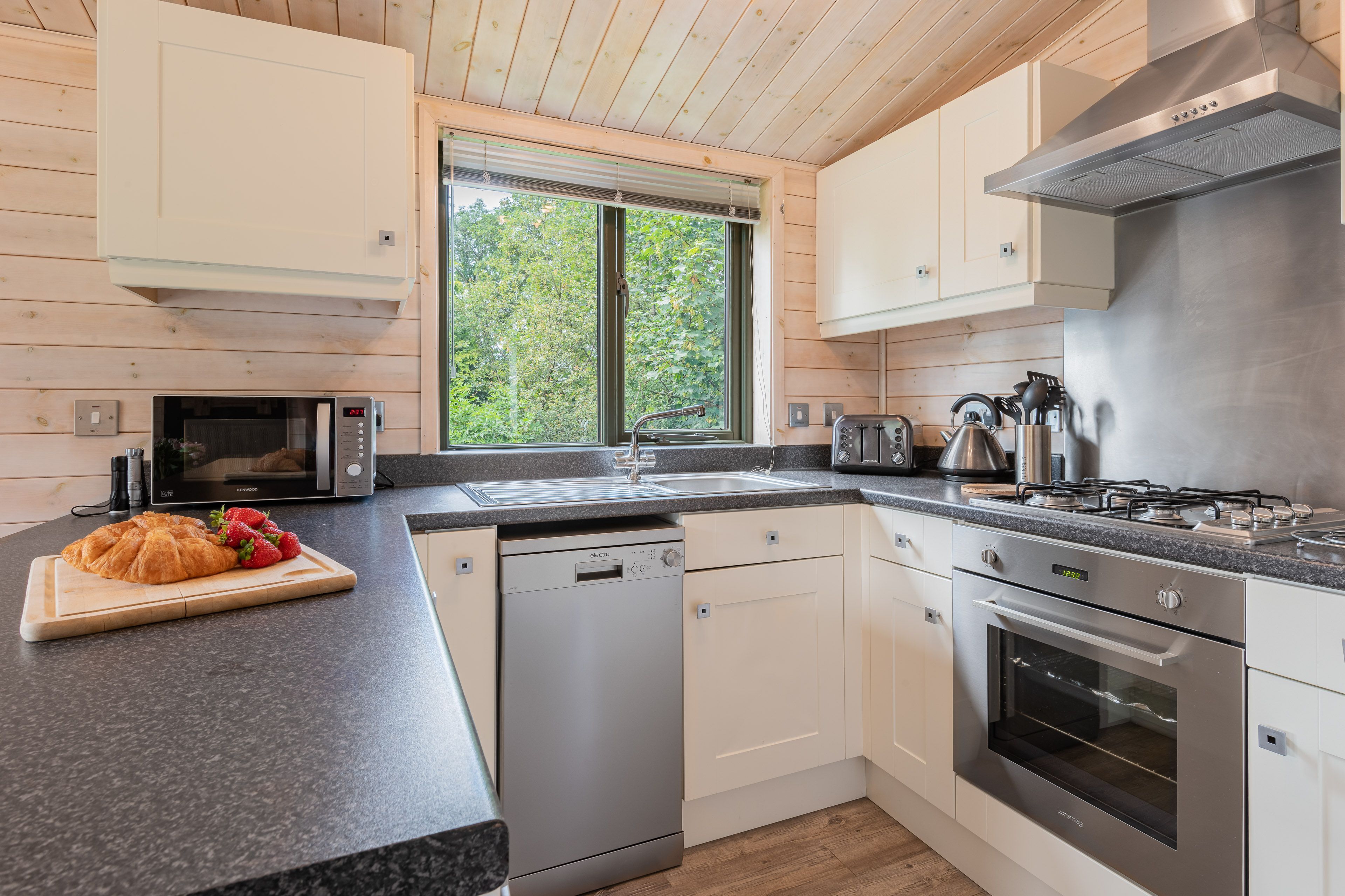 Microwave, oven, dishwasher