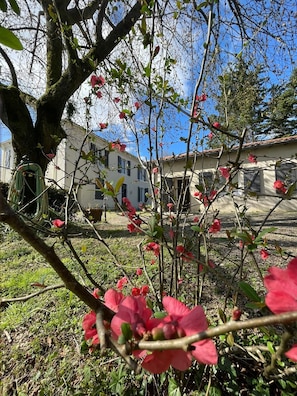 Àrea exterior de l'allotjament