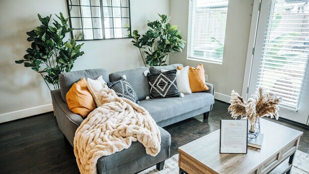 A modern living room with a grey sofa, decorative pillows, a white throw blanket, and a wooden coffee table with a framed document. - Stay in the Heart of Houston, 5' to Downtown, close Medical Center & World Cup (Houston)