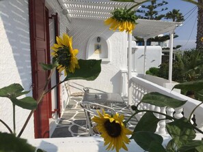 Khuôn viên nơi lưu trú