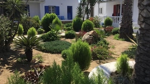 A garden with various plants and a white building with blue doors. - Diogenis Village Mykonos (Mykonos)