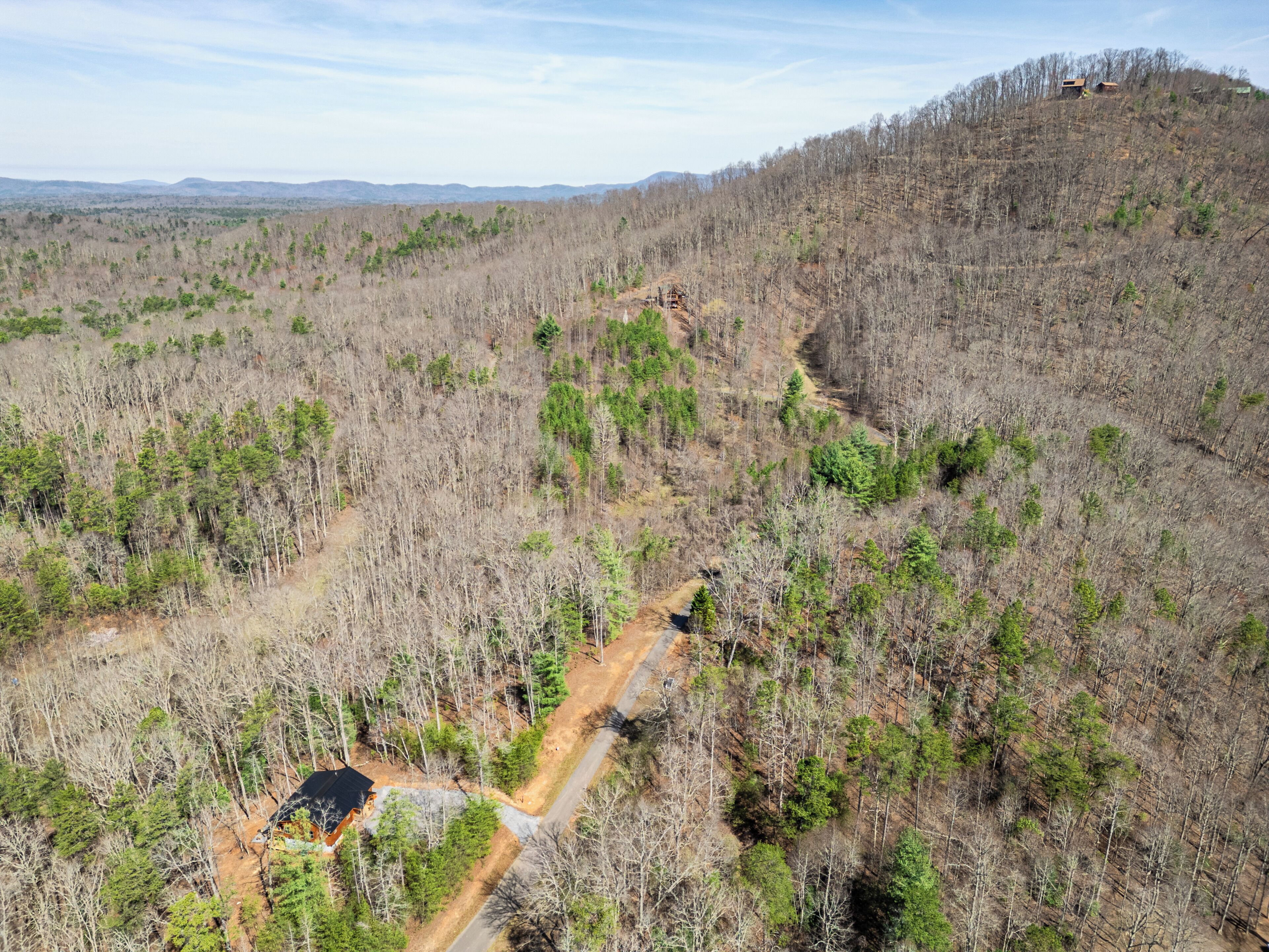 A forested area with a dirt path and a small building.