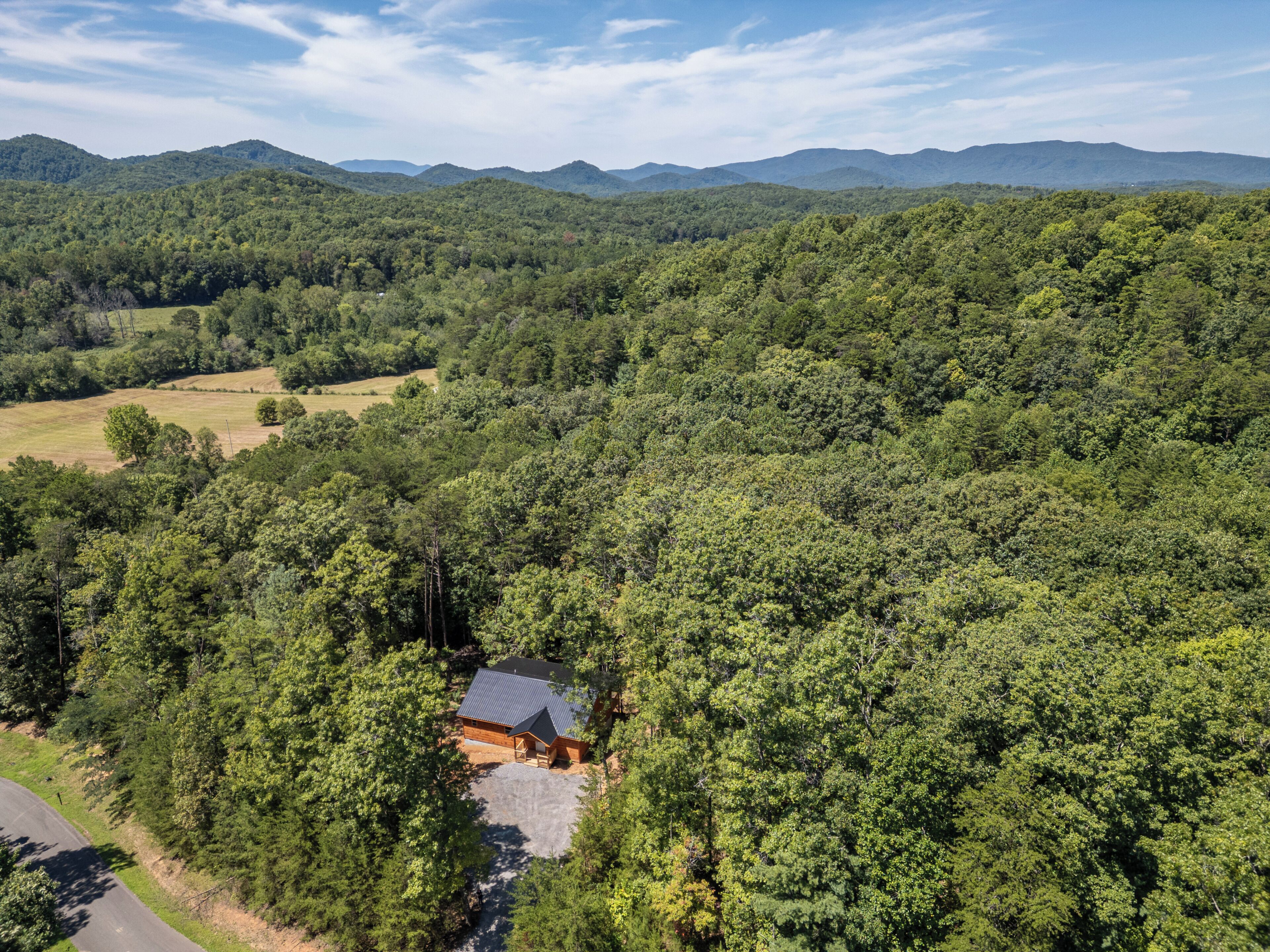 A remote cabin surrounded by dense forest with a clear view of distant mountains.