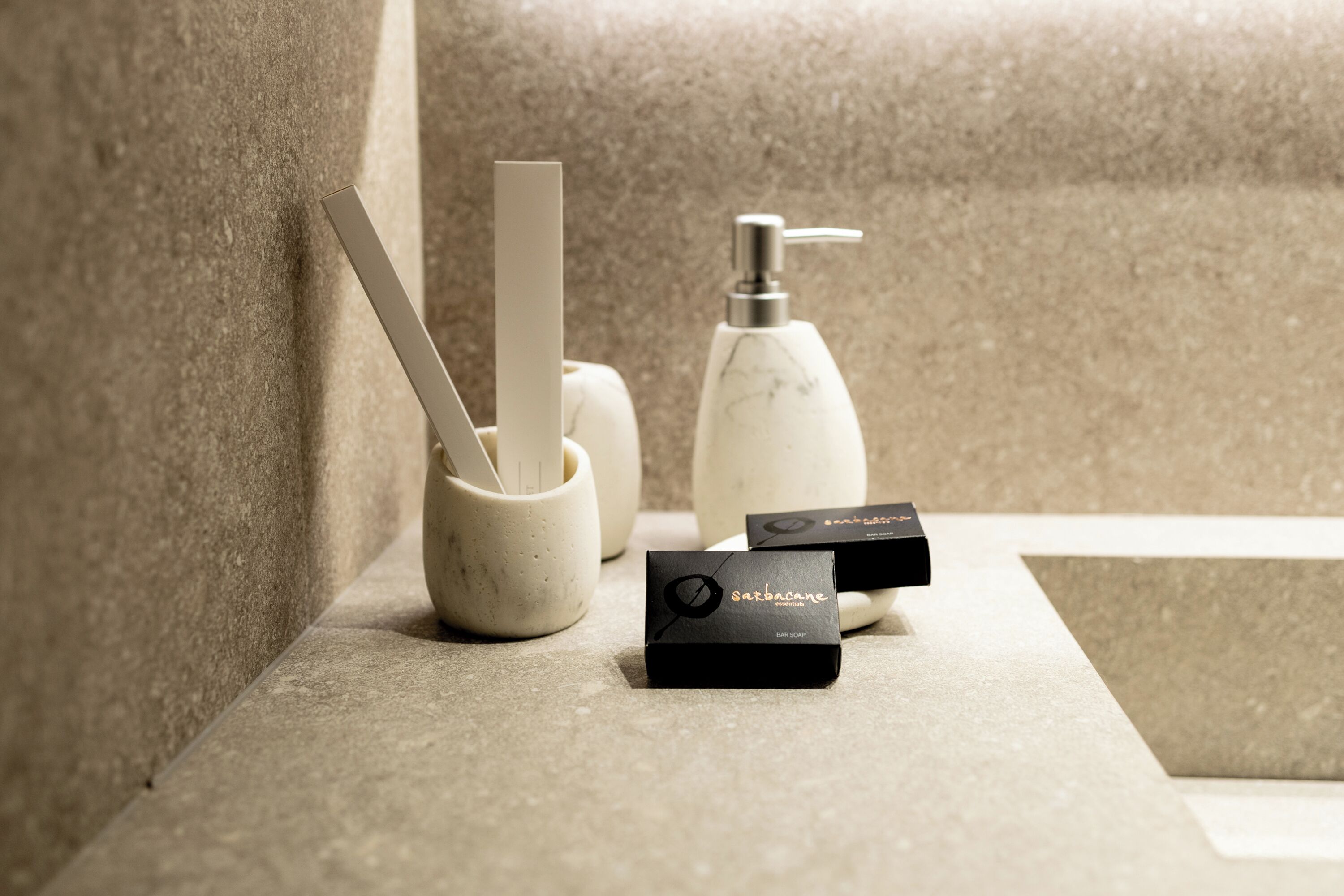 Un meuble-lavabo avec un distributeur de savon, un savon en barre et un savonnet.