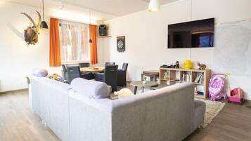 Fernseher
