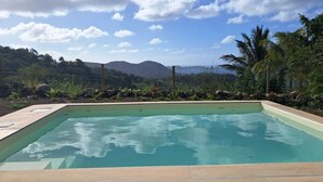 Una piscina rettangolare con acqua cristallina, circondata da un giardino curato con varie piante e vista su montagne lontane.