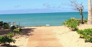 A wooden pathway leading to a beach with chairs and plants. - Perfect family getaway on the east coast of Puerto Rico! Beach apartment. (Rio grande)