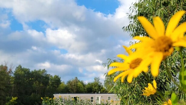Een huis met een vijver ervoor, omringd door groen en bloemen.