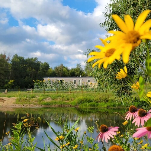 Secluded 3-bedroom Cabin style home with  Pond and Wildlife, mins ofNew Hampton