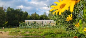 Secluded 3-bedroom Cabin style home with  Pond and Wildlife, mins ofNew Hampton