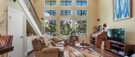 Smart TV, DVD player, books, video library
