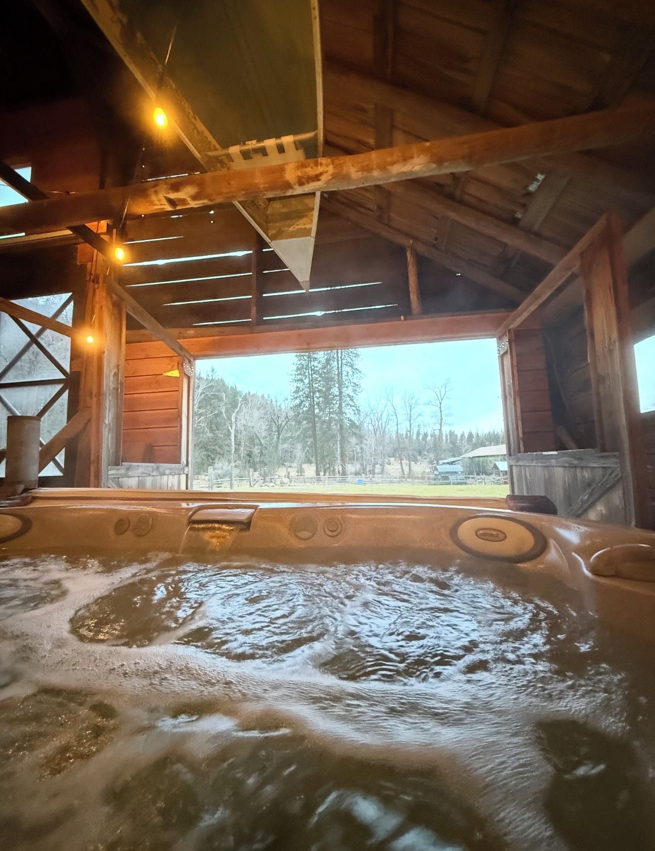 Un jacuzzi con vistas a una zona boscosa a través de un ventanal grande.
