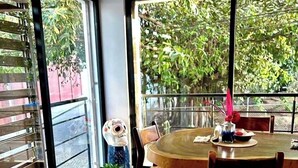 Una cocina con estufa a gas, una olla en la hornilla, una mesa de comedor con sillas y vistas al exterior con vegetación.