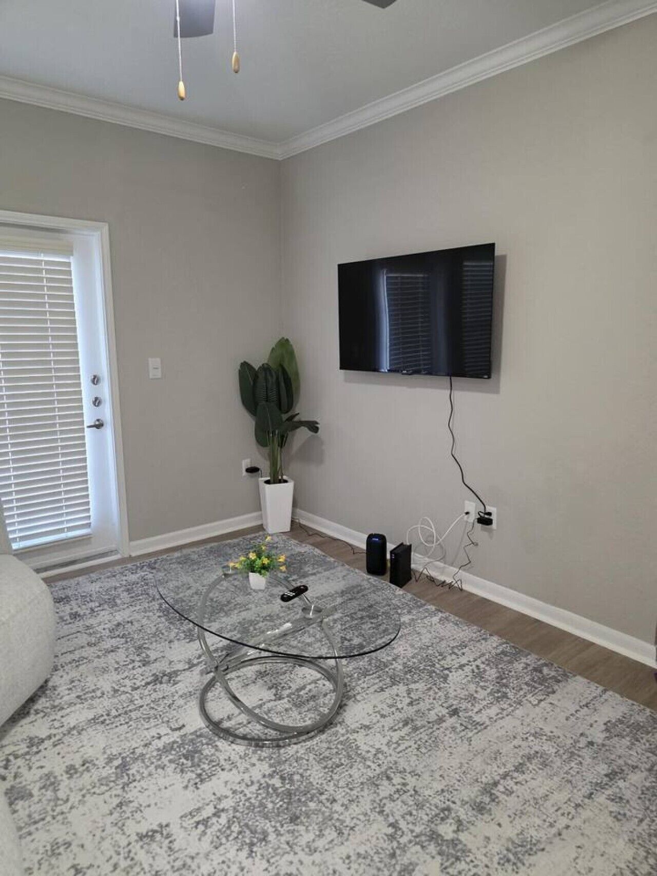 Habitación con televisor de pantalla plana en la pared, una planta en maceta y una regleta de enchufes en el suelo.