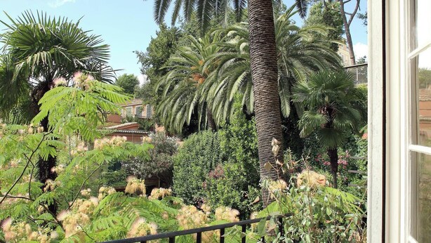 Un jardín exuberante con diversas plantas y una palmera grande.