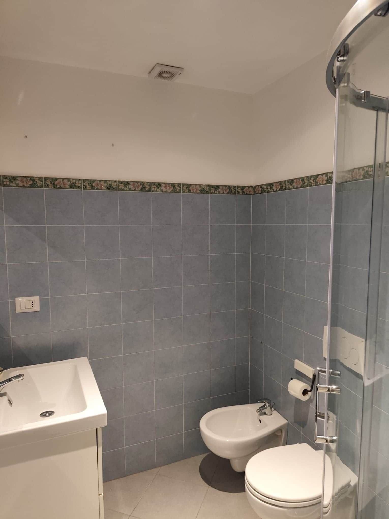 Regadera, secadora de cabello, bidet, toallas 