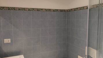 Regadera, secadora de cabello, bidet, toallas