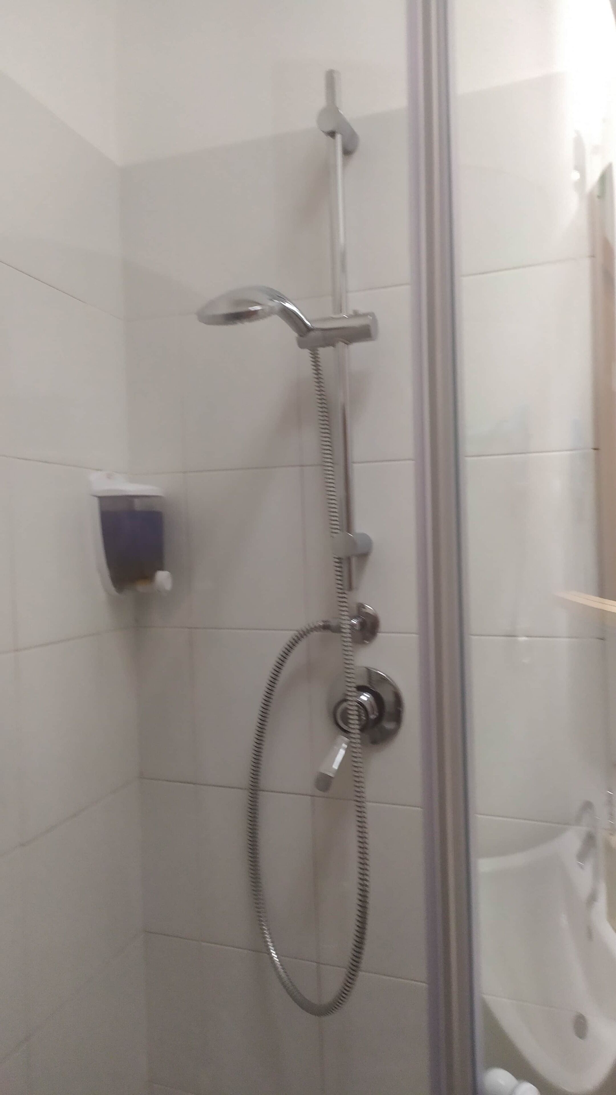 Shower, hair dryer, bidet