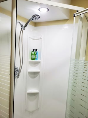 Shower, hair dryer, soap, toilet paper