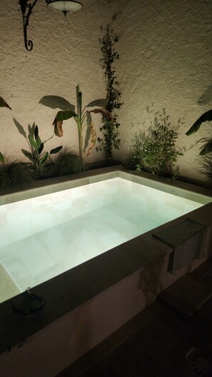 Pool - House within walls Aigues-Mortes (Aigues-Mortes)