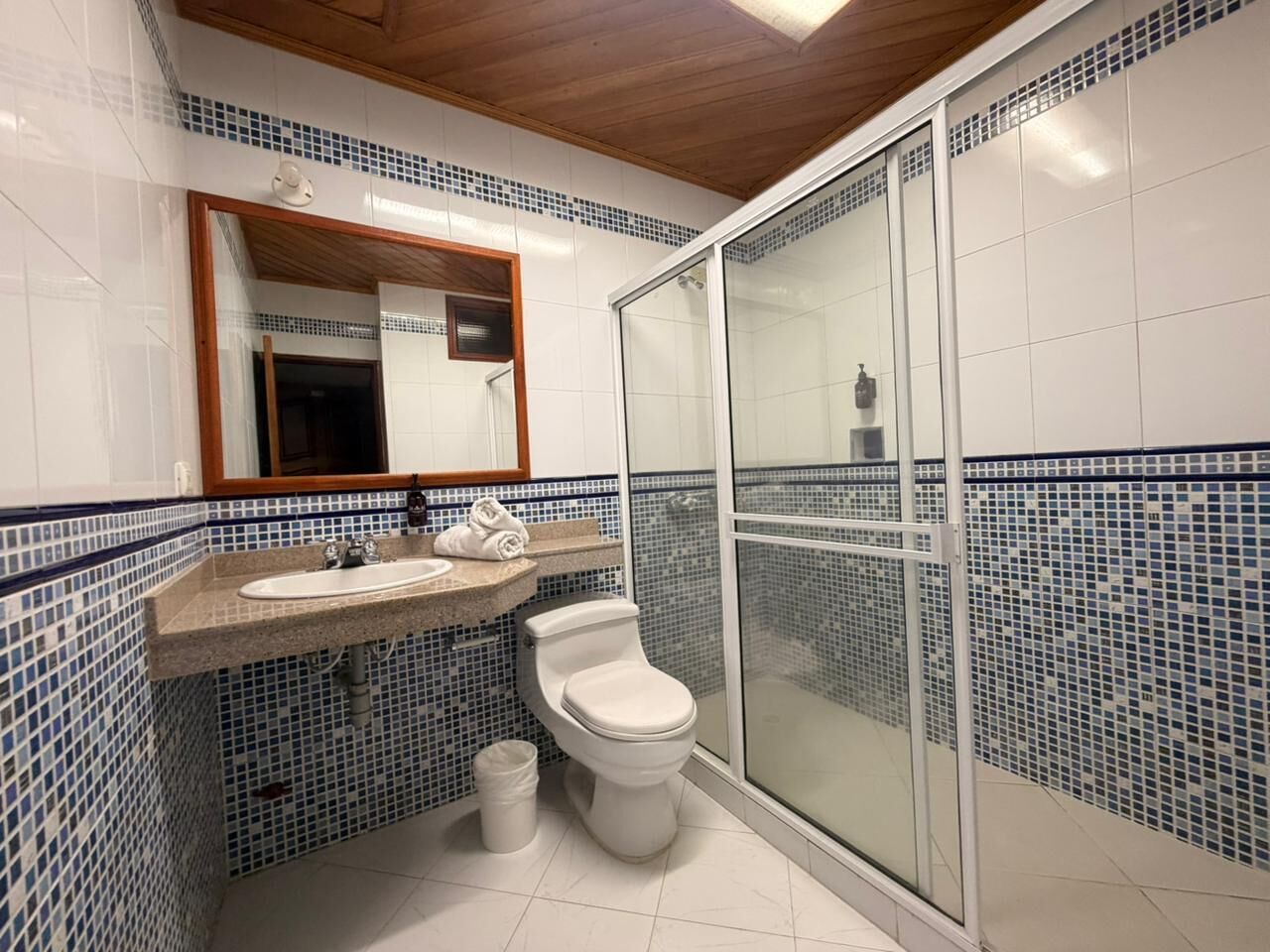Habitación con 2 camas individuales, balcón | Baño | Ducha, toallas y papel higiénico