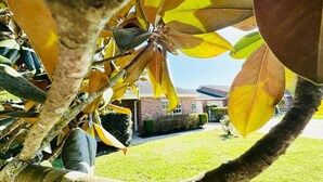 Ein Wohngebiet mit einem Haus, Rasen und einem Baum mit gelben Blättern.