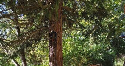 Cozy Kolsva Cabin Private Entrance