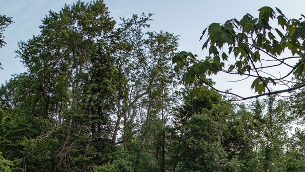 A cabin with a covered patio, outdoor seating, and a fire pit. - Cabin w/ Sauna + Hot Tub - Luxury Woods Retreat (Logan)