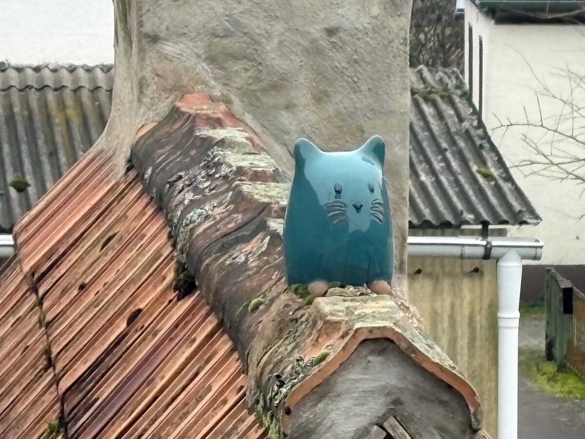 Bild für Gastgeberprofil