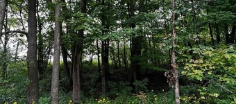 Wild Camping retreat Just 40 Minutes from Montreal!