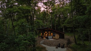 Une cabane entourée d’une forêt dense, avec un escalier en pierre menant à l’entrée.