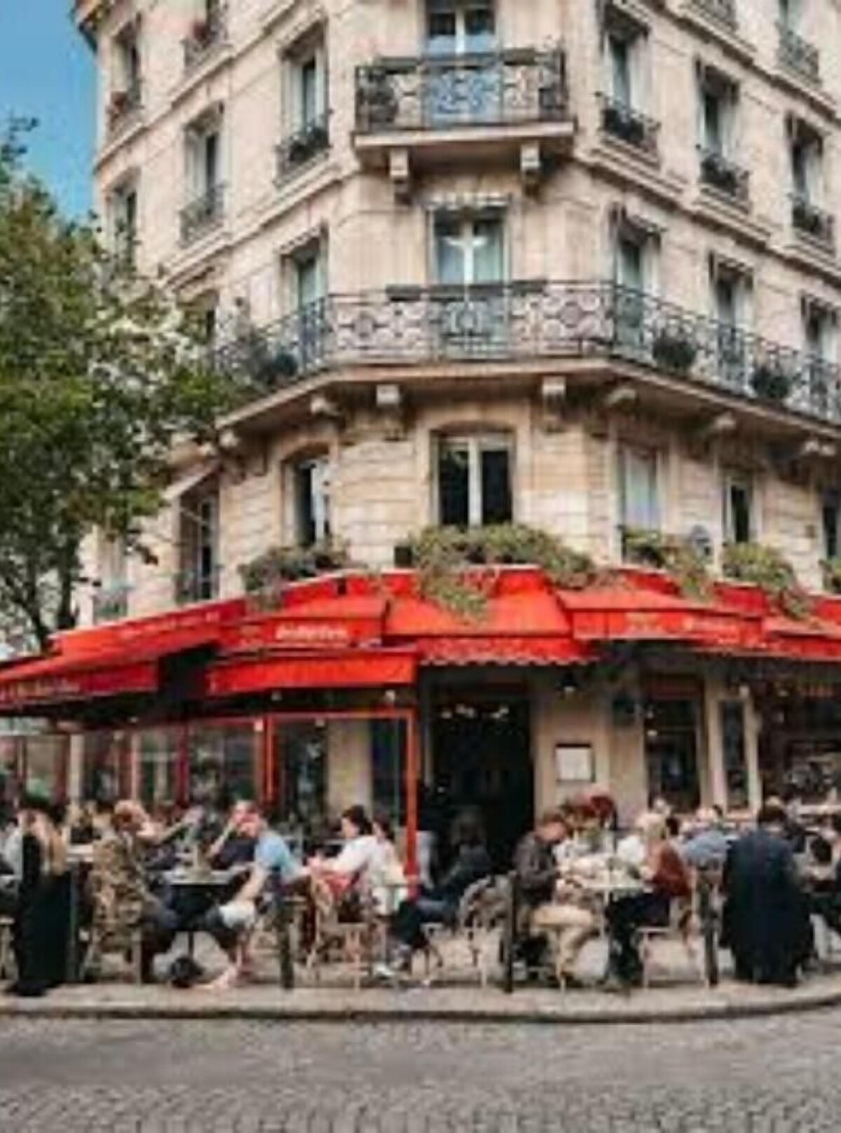 Image de profil de l’hôte