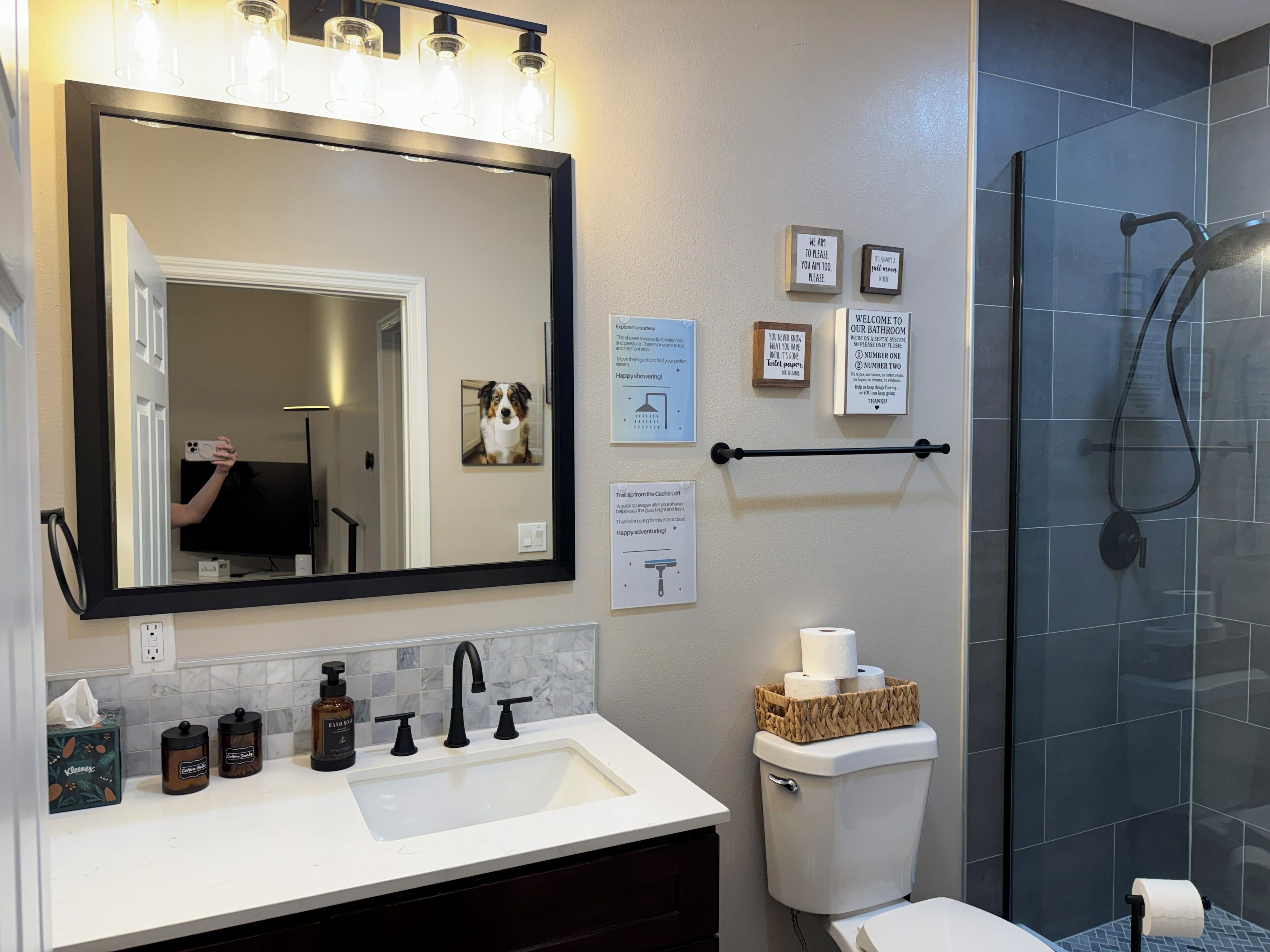 Une salle de bain avec un grand miroir, un lavabo, des toilettes et une douche. Des panneaux encadrés sont accrochés au mur, et un panier de papier toilette est posé sur les toilettes.