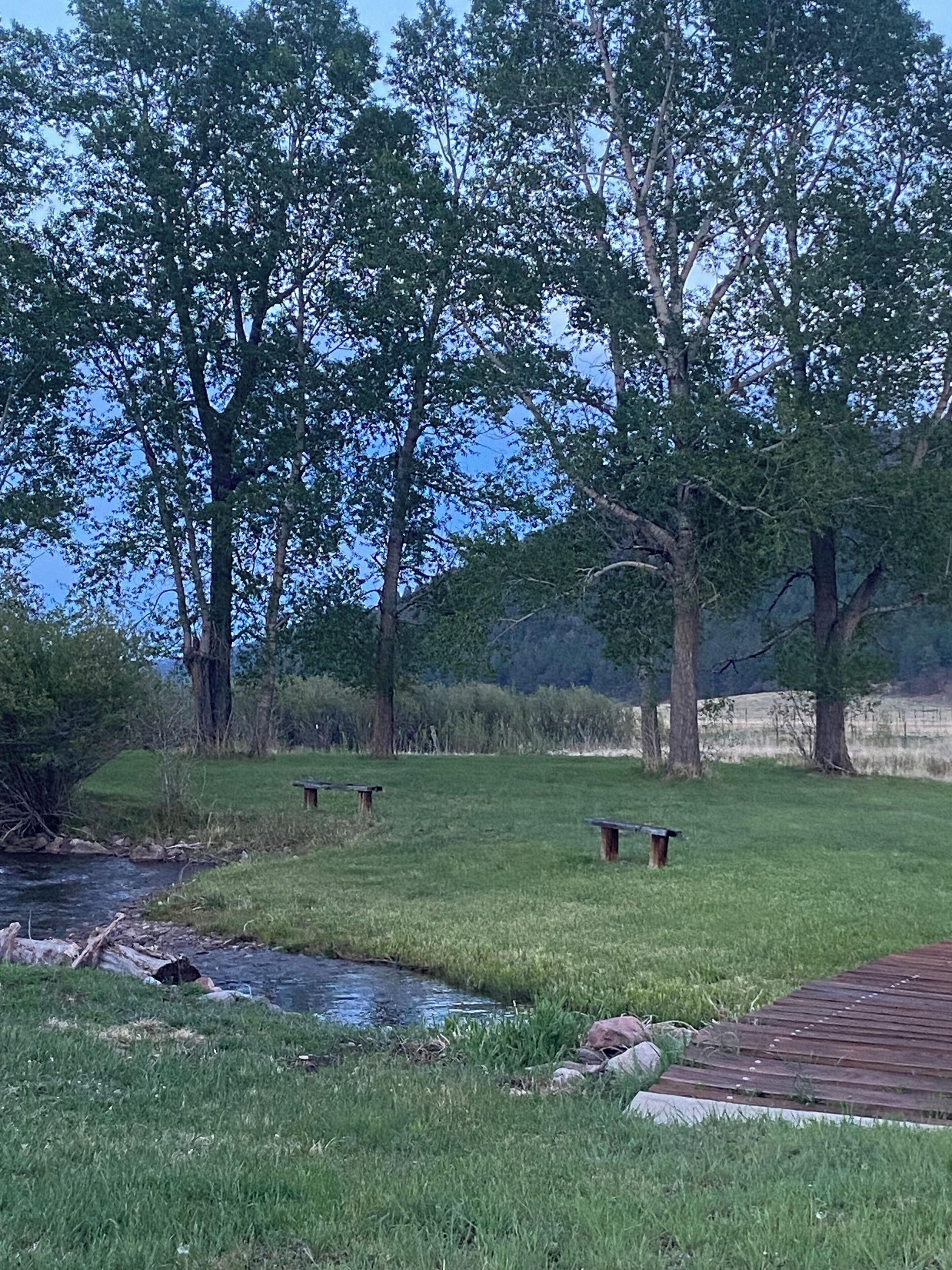 A grassy area with picnic tables and a small stream.