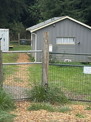 Property grounds - Above the fog alpaca cottage (Kneeland)