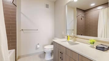 Hair dryer, towels, soap, toilet paper