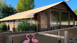 A wooden deck with a glass enclosure, a wooden fence, and a canopy.