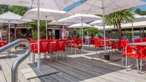 Een terras buiten met rode stoelen en witte parasols, een houten terras en een palmboom.