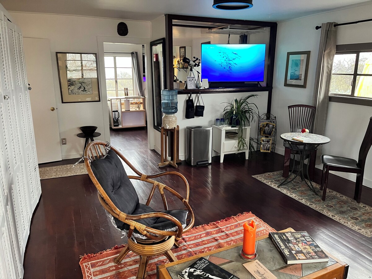 Imagen de perfil del propietario o de la propietaria