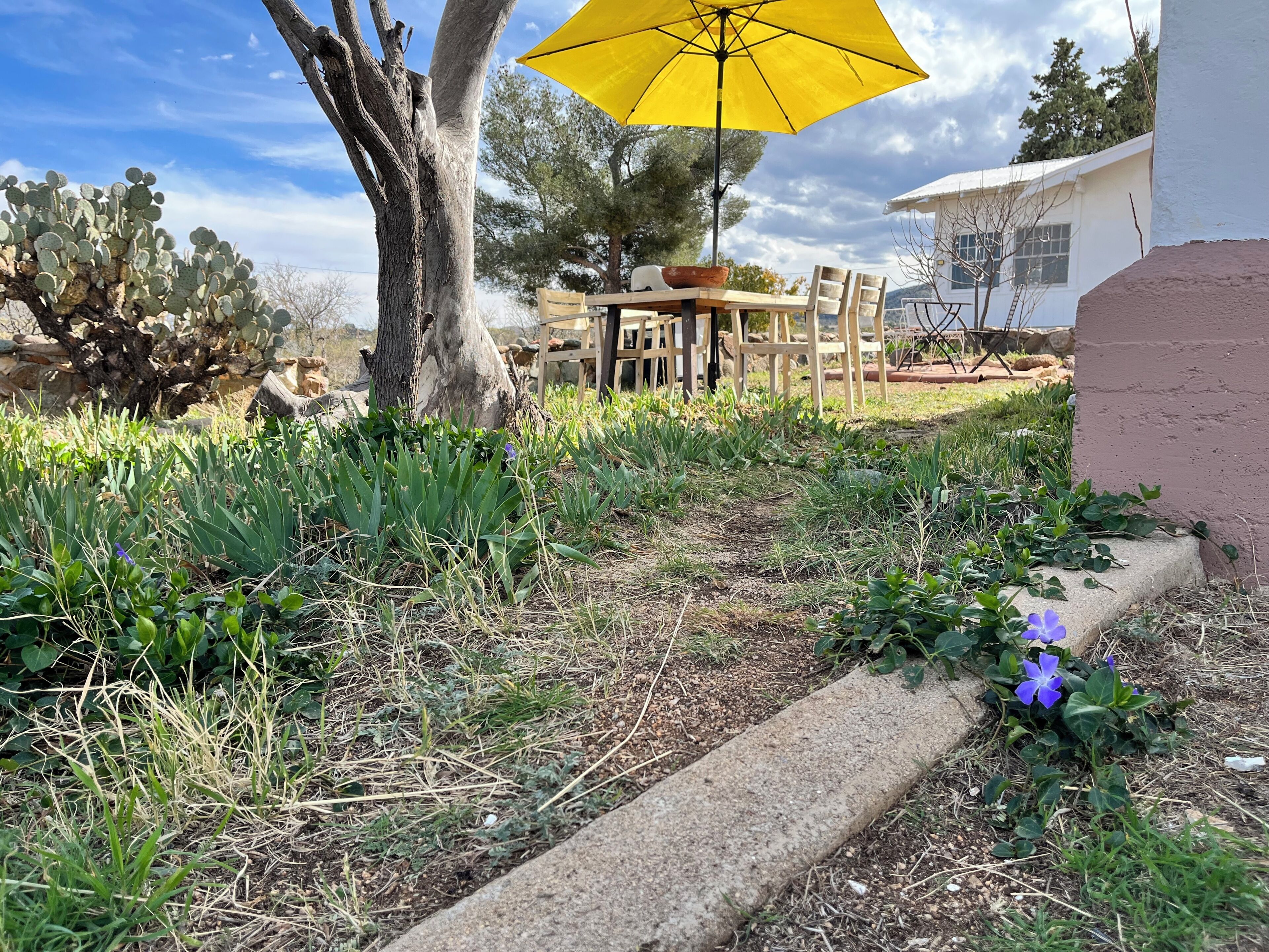 Un jardin avec une table et des chaises, un parasol jaune et un bâtiment en arrière-plan.
