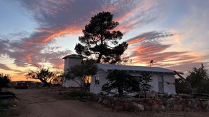 A house with a stone wall, a large tree, and a dirt road.
